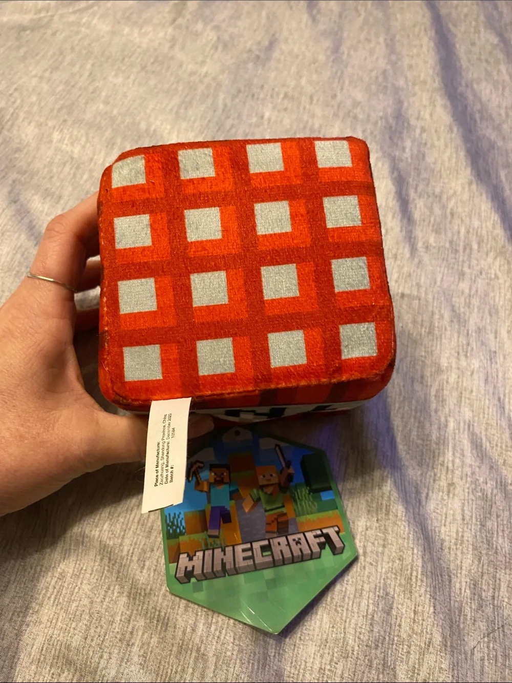 MINECRAFT 5